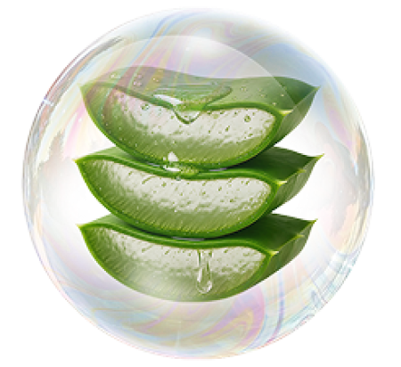 Aloe barbadensis extract