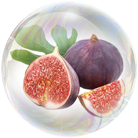 Figs